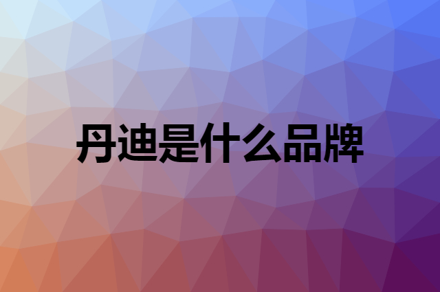 丹迪是什么品牌，怎么加入自己的供应链？